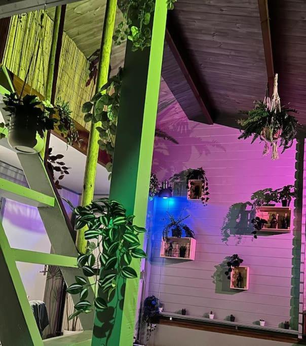 Jungle Style Lodge With Jacuzzi ,Sauna And Garden Near Amsterdam Vijfhuizen Buitenkant foto